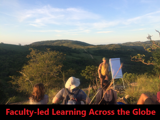 Faculty-led Learning Across the Globe