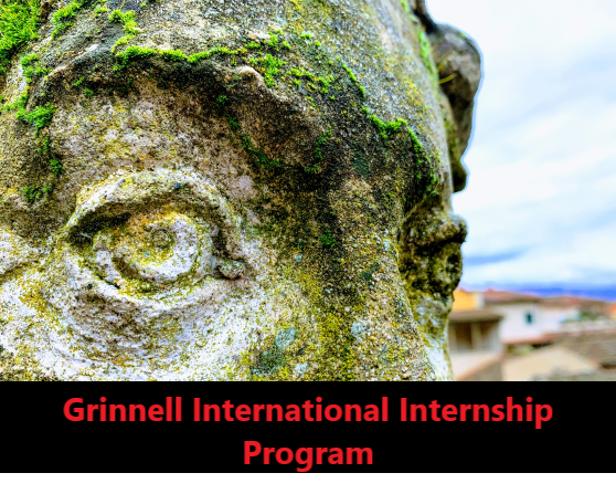 Grinnell International Internship Program