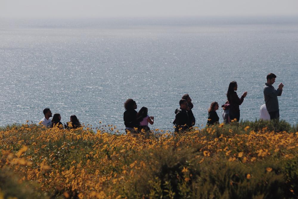 Students overlooking water